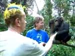 John Lydon Goes Ape