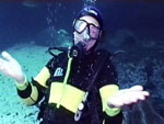 John Lydon’s Shark Attack