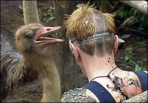 I'm a Celebrity Get Me Out Of Here! John versus the "Fat budgie" Source unknown