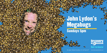 Megabugs!