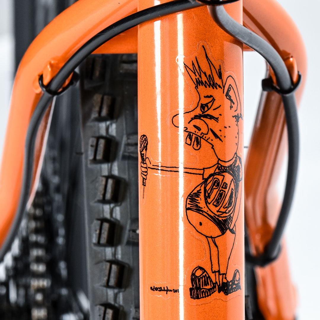 DSC_0055-1080 Ionic Bikes Johnny Rotten Hardtail bike frame